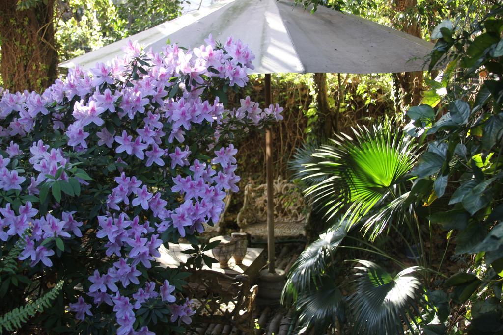 Bed and Breakfast La Casona De Grace Olivos Exteriér fotografie