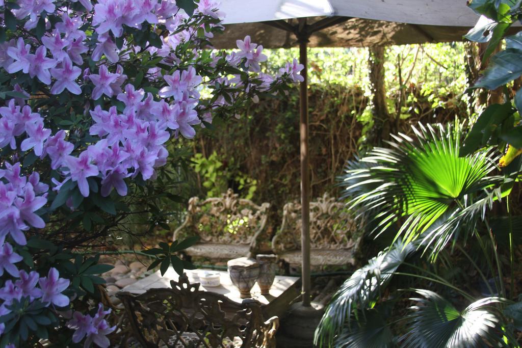 Bed and Breakfast La Casona De Grace Olivos Exteriér fotografie