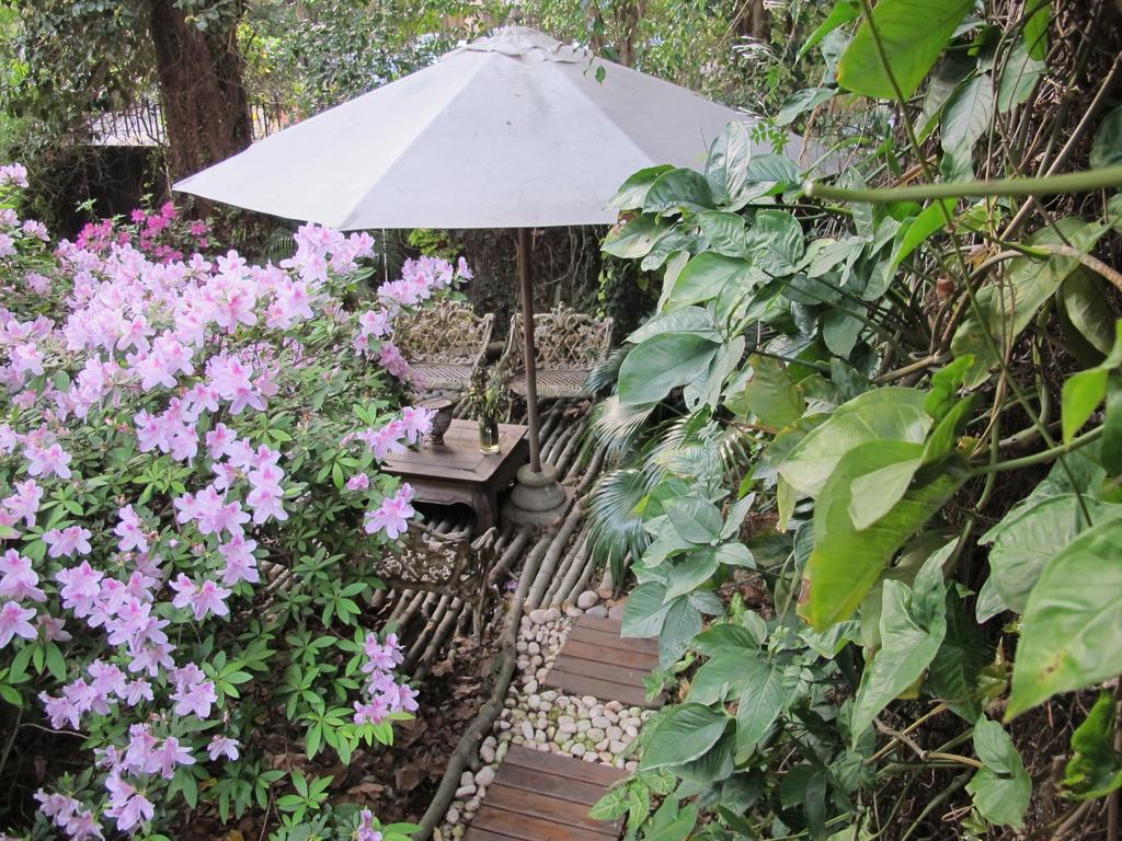 Bed and Breakfast La Casona De Grace Olivos Exteriér fotografie